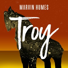 Marvin Humes - Troy