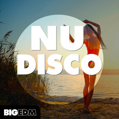 Nu Disco Sample Pack | 640+ Drums, Presets, Melodies, Guitar Loops & Kits!