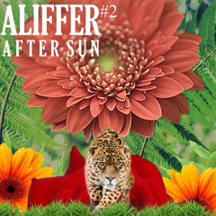 After sun #2 ' Aliffer