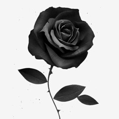 F L A V O R S! (p r e v i e w)