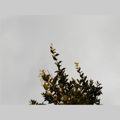 Everyone Needs A Friend Vol.2