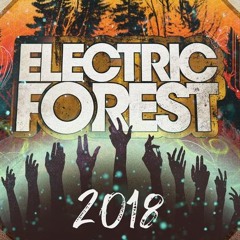 EF2018- The Year of the Wub