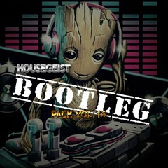 Housegeist- Bootleg Pack Vol.16 (Prev.) *Free DL For Full Track Pack*