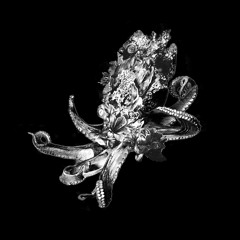 Black Haze By Cosmjn & Lizz