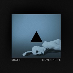 Silver Knife