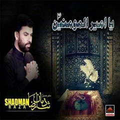 Shadman Raza - Ya Ameer ul Momineen A.s