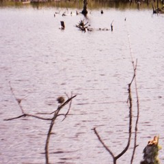 Thin Ice
