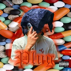 PLUG