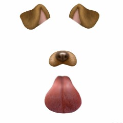 NEVA TRUST THESE HOES