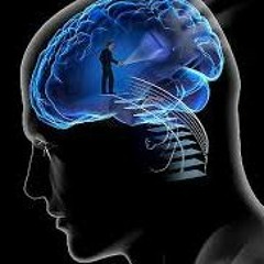 Where Is My Mind (dove è finito il mio cervello)