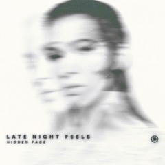 Hidden Face - Late night feels