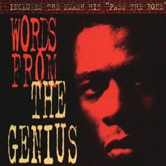 The Genius (GZA) - Words From A Genius (1991)