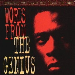 The Genius (GZA) - The Genius Is Slammin' (1991)