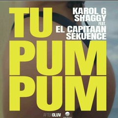 Karol_G_and_Shaggy_feat._El_Capitaan__Sekuence_-_Tu_Pum_Pum Fast.mp3
