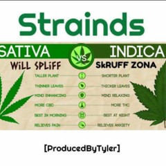 Strainds (Feat. Will Spliff)(ProducedByTyler)