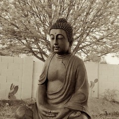 Andy Irvine -  "I Know Why"