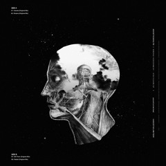 Premiere: Wrong Assessment "Radial" - Ascetic Limited