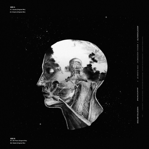 Premiere: Wrong Assessment "Radial" - Ascetic Limited