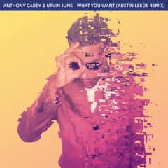 Anthony Carey & Urvin June - What You Want (Austin Leeds Remix)