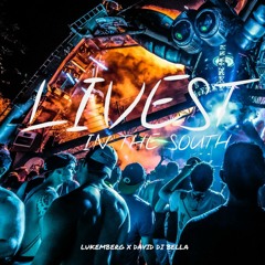 Lukemberg & David Di Bella - Livest In The South