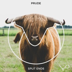 Prude - Split Ends