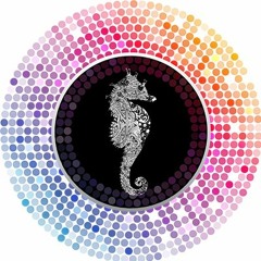 Raha Wala @ Nomadico 2018