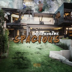 Neednoname - Spacious Prod By JC beats