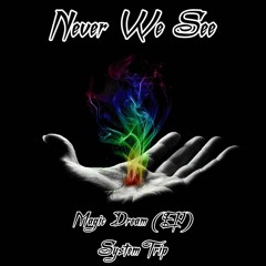Never We See - SystemTrip  *FREE DOWNLOAD*