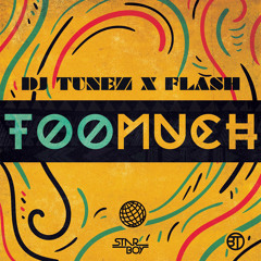 Too Much - DJ Tunez & Flash
