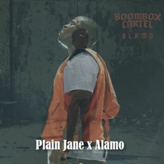 Plain Jane x Alamo