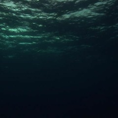 Chernobeing - FFF  165 bpm