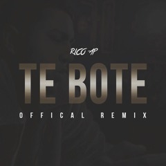 Te Bote Remix