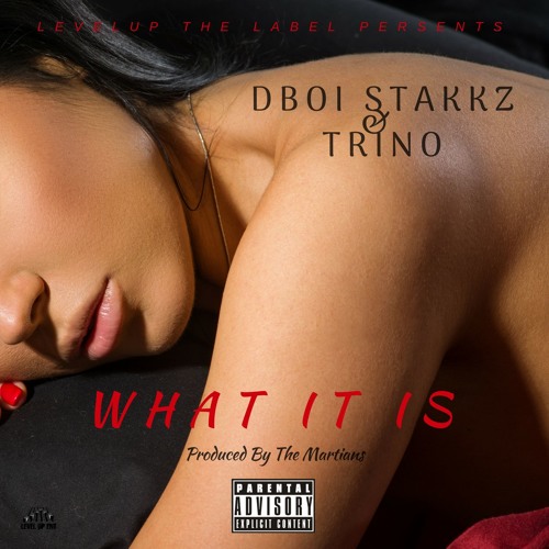 D Boi Stakkz X Trino X What It Is