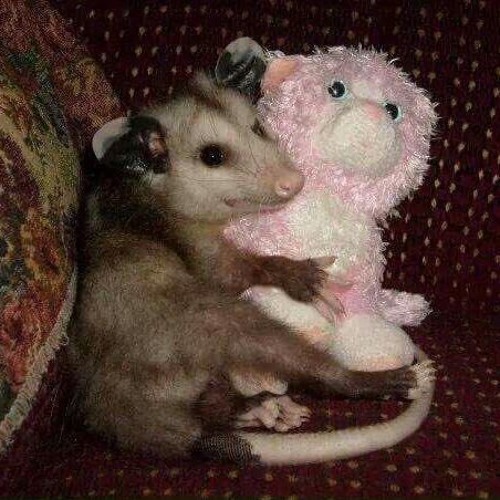 Alex G - Joy
