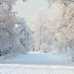 Lời Nói Dối Của Tuyết Đầu Mùa 初雪的谎言 - K.D