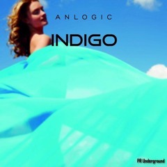 INDIGO  Release    PR Underground/PR Records Label Group Presents selected underground house moments