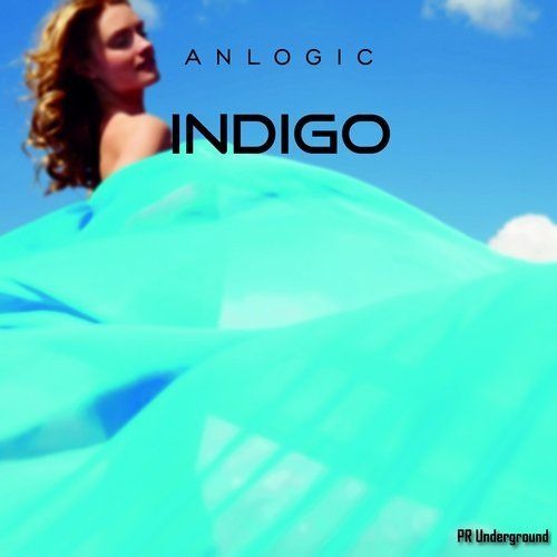 INDIGO  Release    PR Underground/PR Records Label Group Presents selected underground house moments