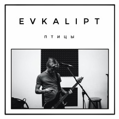Evkalipt-Птицы