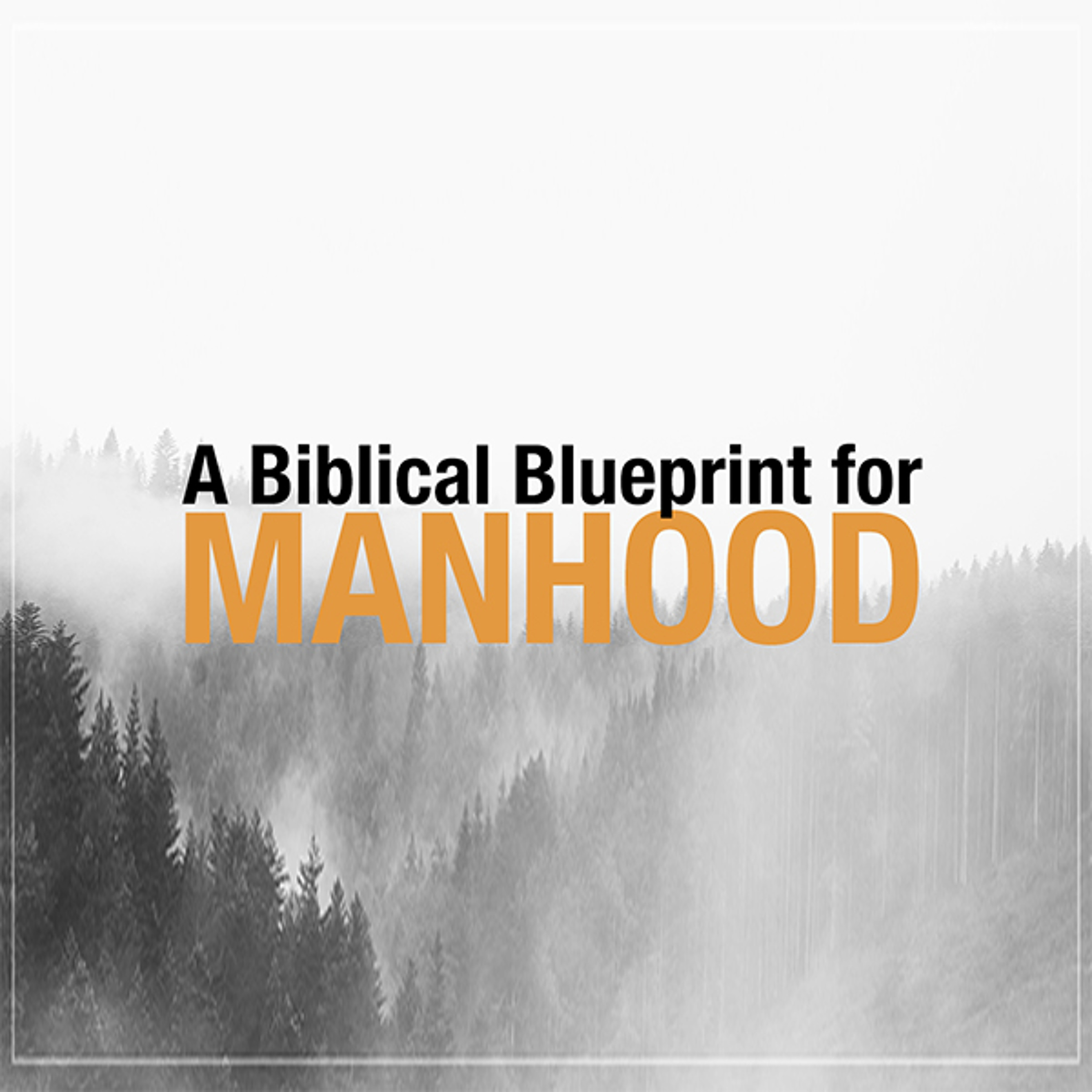 A Biblical Blueprint for Manhood episode artwork