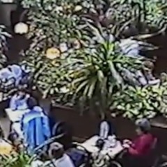 The Psychiatry - Sickness unto death (Lorenz' treatment)