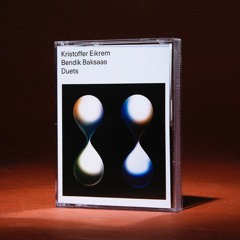 Acid Sentō ft. Kristoffer Eikrem