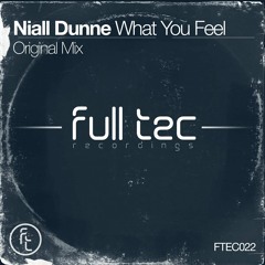 Niall Dunne - What You Feel - Original Mix - CLIP
