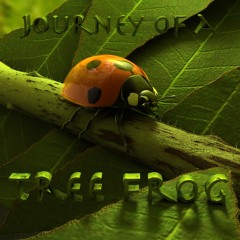 Wilder:  Journey of a Tree Frog (improv jam 2014)