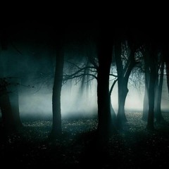 Lightworker______Dark Souls