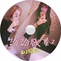 DJ耀廷 - 2018.紛紛欲飛2