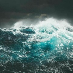 Wave$ (official audio)