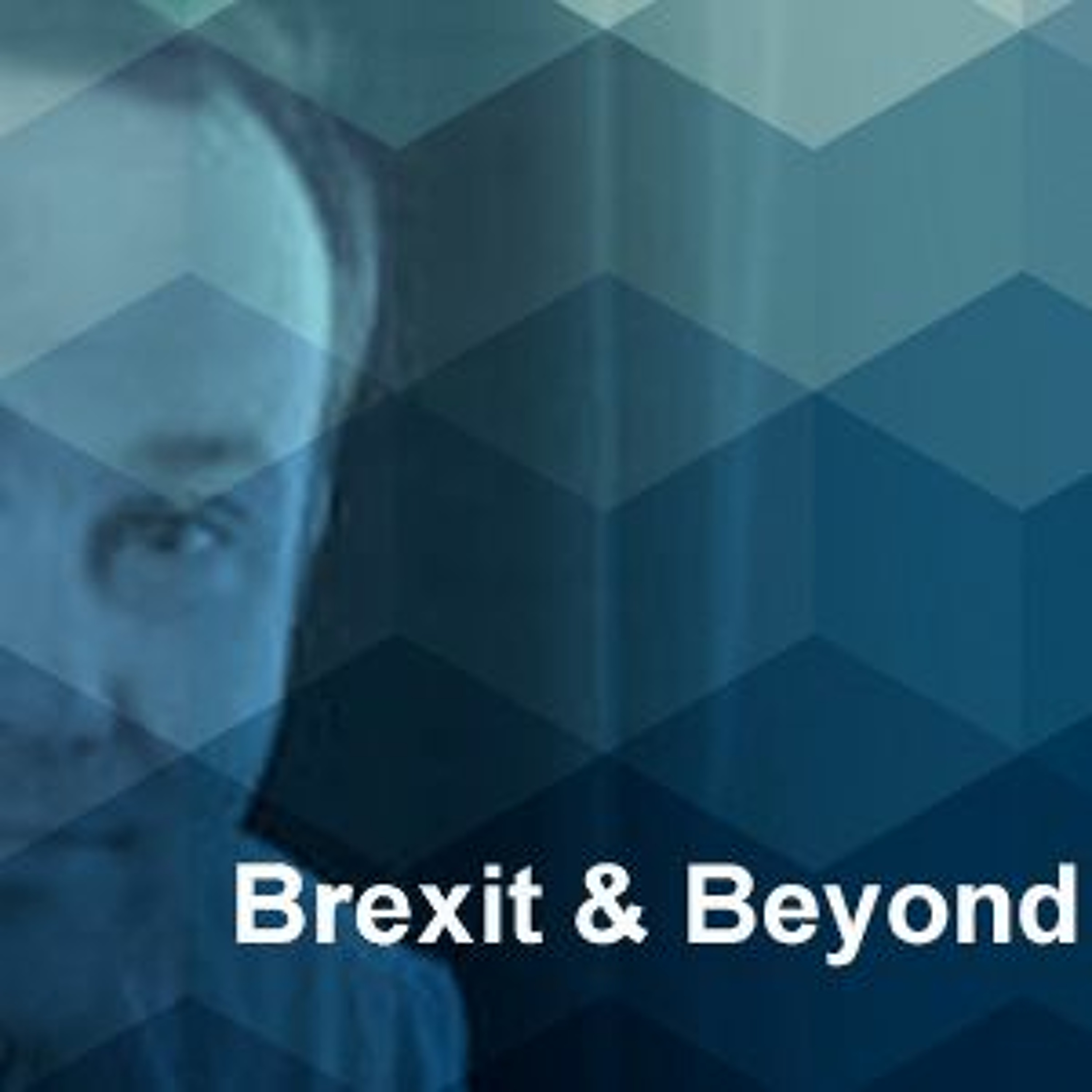 Talking Europe: The UCL European Institute podcast