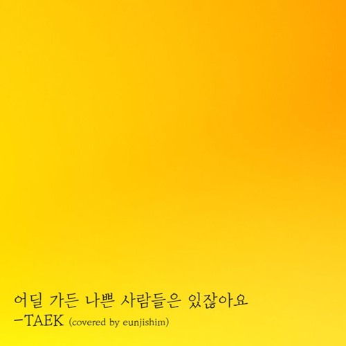 어딜 가든 나쁜 사람들은 있잖아요 - TAEK (은지 Cover)