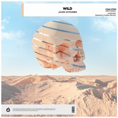 Jacek Izydorek - Wild [OUT NOW]