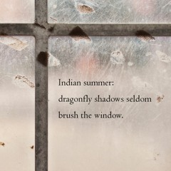 Haiku #232: Indian summer: / dragonfly shadows seldom / brush the window.